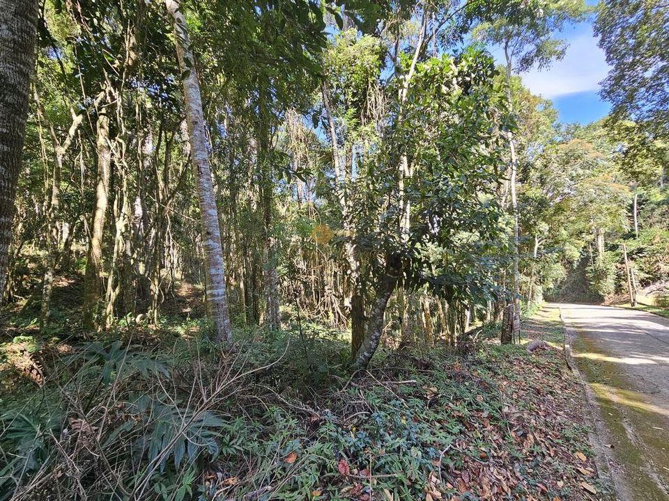 Terreno Residencial à venda em Green Valley, Teresópolis - RJ - Foto 5