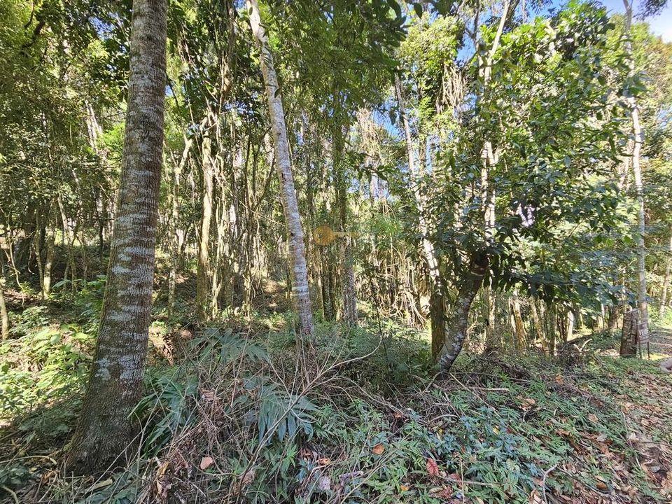 Terreno Residencial à venda em Green Valley, Teresópolis - RJ - Foto 7