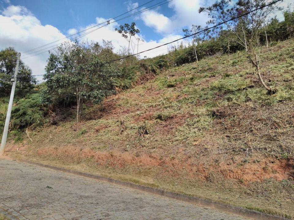 Terreno Residencial à venda em Vargem Grande, Teresópolis - RJ - Foto 3