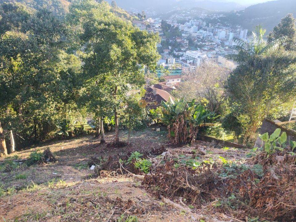 Terreno Residencial à venda em Parque São Luiz, Teresópolis - RJ - Foto 7
