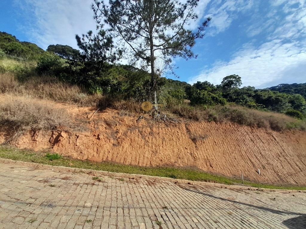 Terreno Residencial à venda em Prata, Teresópolis - RJ - Foto 6