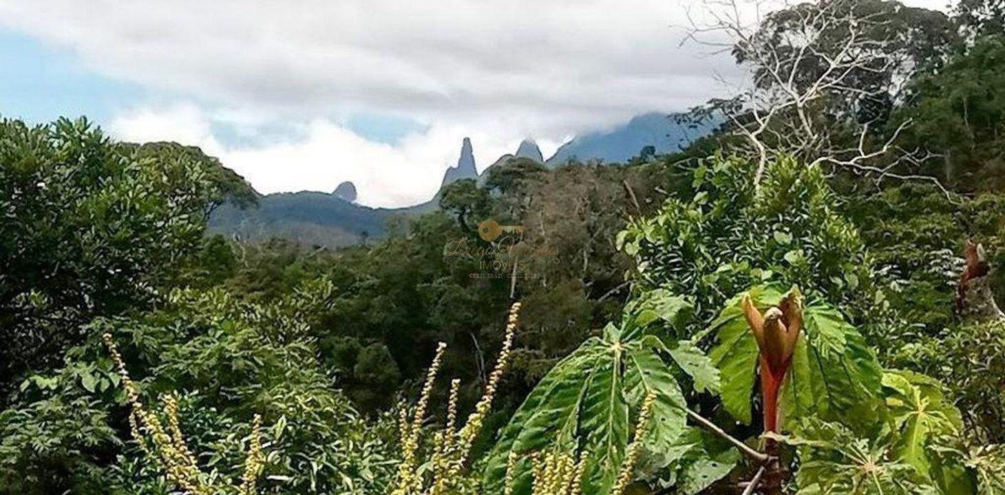 Terreno Residencial à venda em Três Córregos, Teresópolis - RJ - Foto 2
