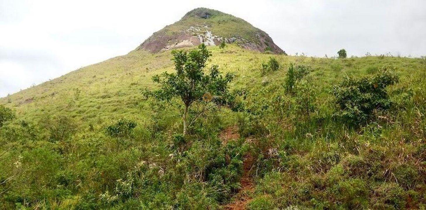 Terreno Residencial à venda em Três Córregos, Teresópolis - RJ - Foto 5