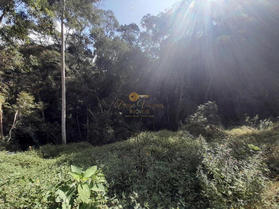 Outros à venda em Córrego das Pedras, Teresópolis - RJ - Foto 32
