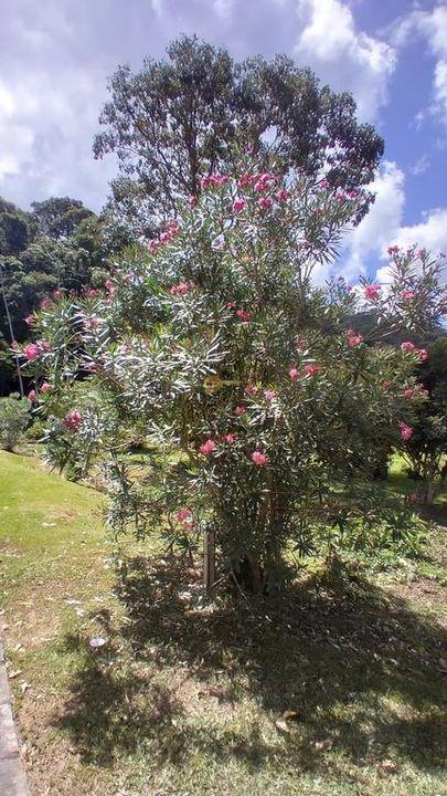 Casa à venda em Fazenda Boa Fé, Teresópolis - RJ - Foto 18