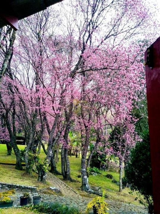 Casa à venda em Iucas, Teresópolis - RJ - Foto 8