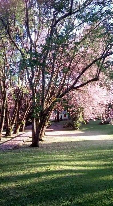 Casa à venda em Iucas, Teresópolis - RJ - Foto 10