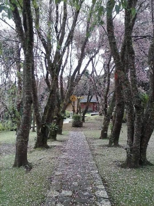 Casa à venda em Iucas, Teresópolis - RJ - Foto 24