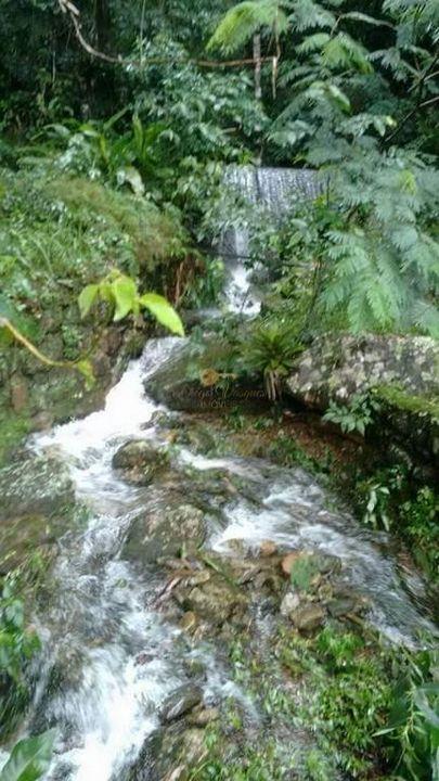 Casa à venda em Iucas, Teresópolis - RJ - Foto 26
