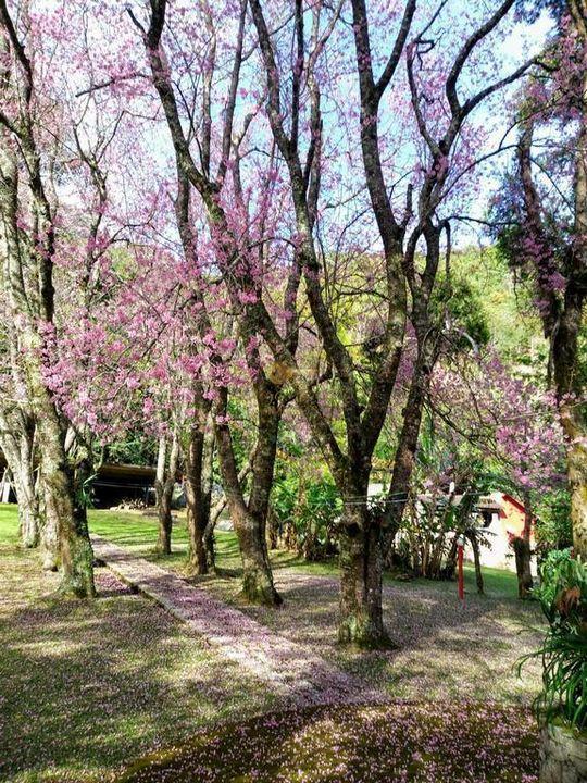 Casa à venda em Iucas, Teresópolis - RJ - Foto 20