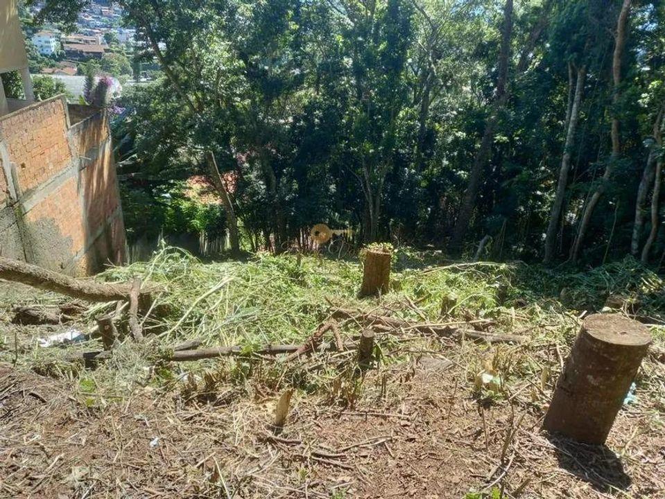 Terreno Residencial à venda em Iucas, Teresópolis - RJ - Foto 2