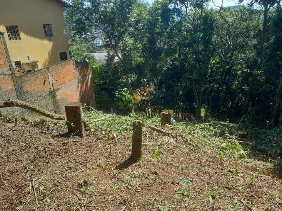 Terreno Residencial à venda em Iucas, Teresópolis - RJ - Foto 3