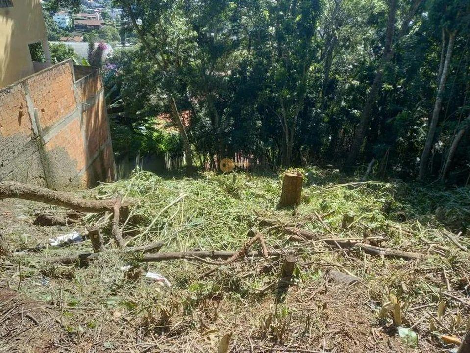 Terreno Residencial à venda em Iucas, Teresópolis - RJ - Foto 7