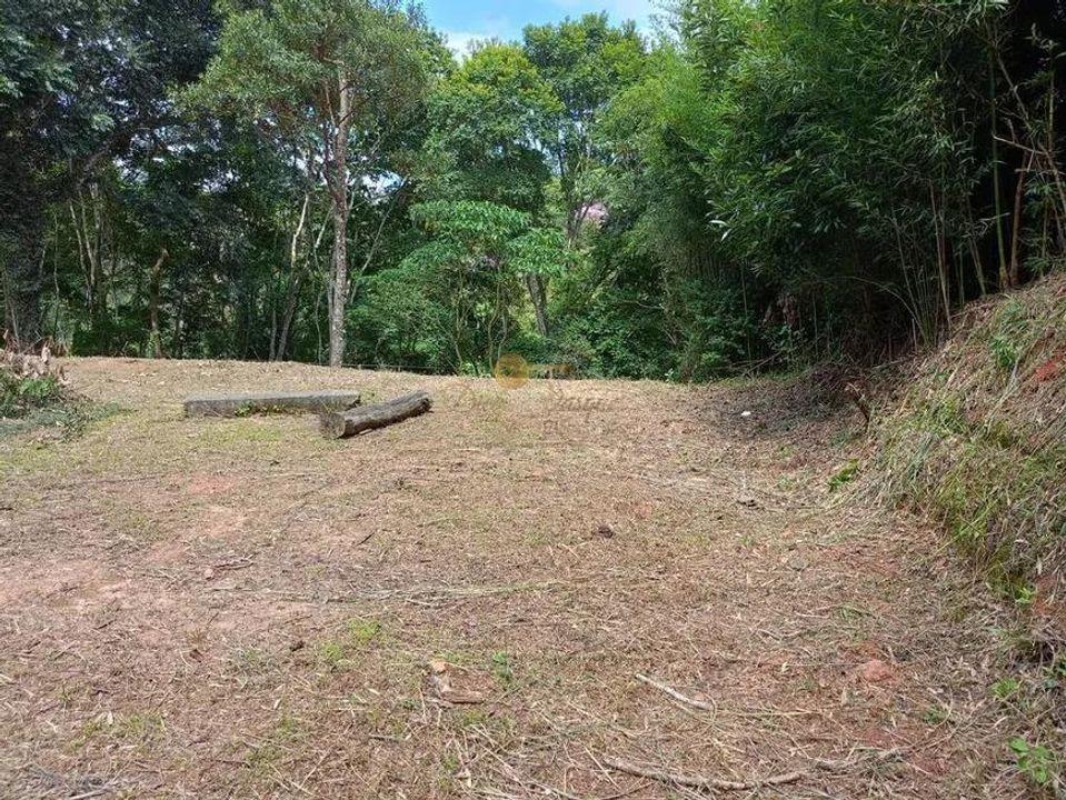 Terreno Residencial à venda em Santa Rita, Teresópolis - RJ - Foto 3