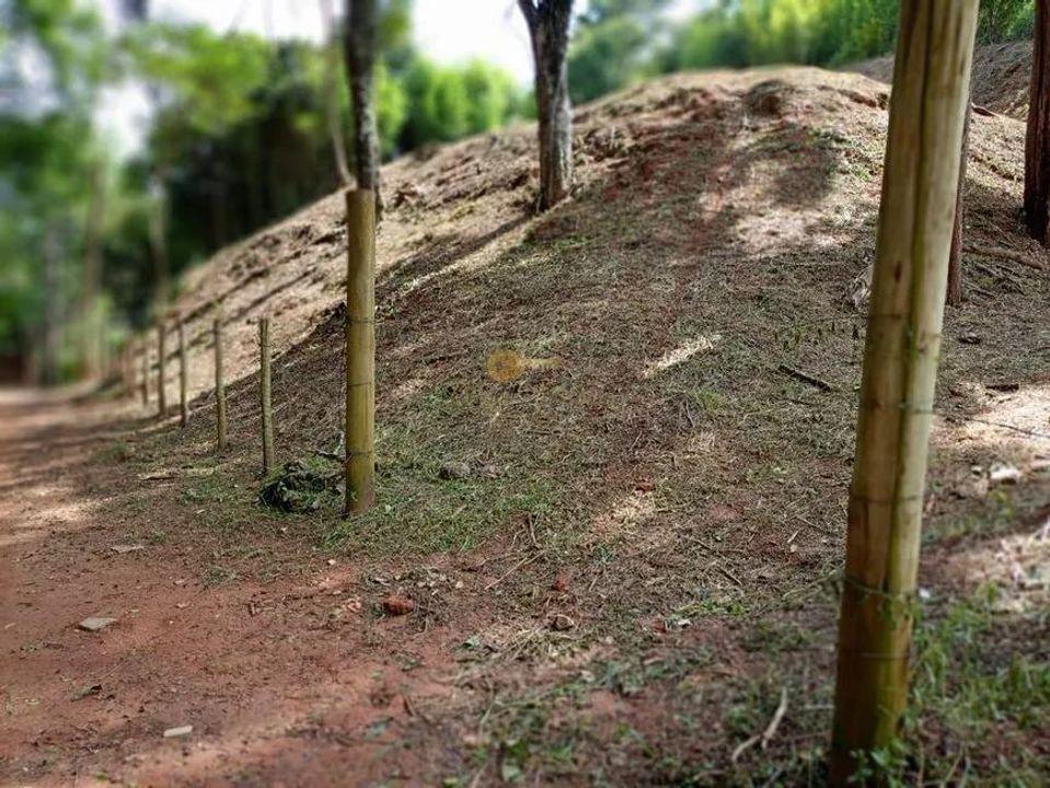 Terreno Residencial à venda em Santa Rita, Teresópolis - RJ - Foto 9