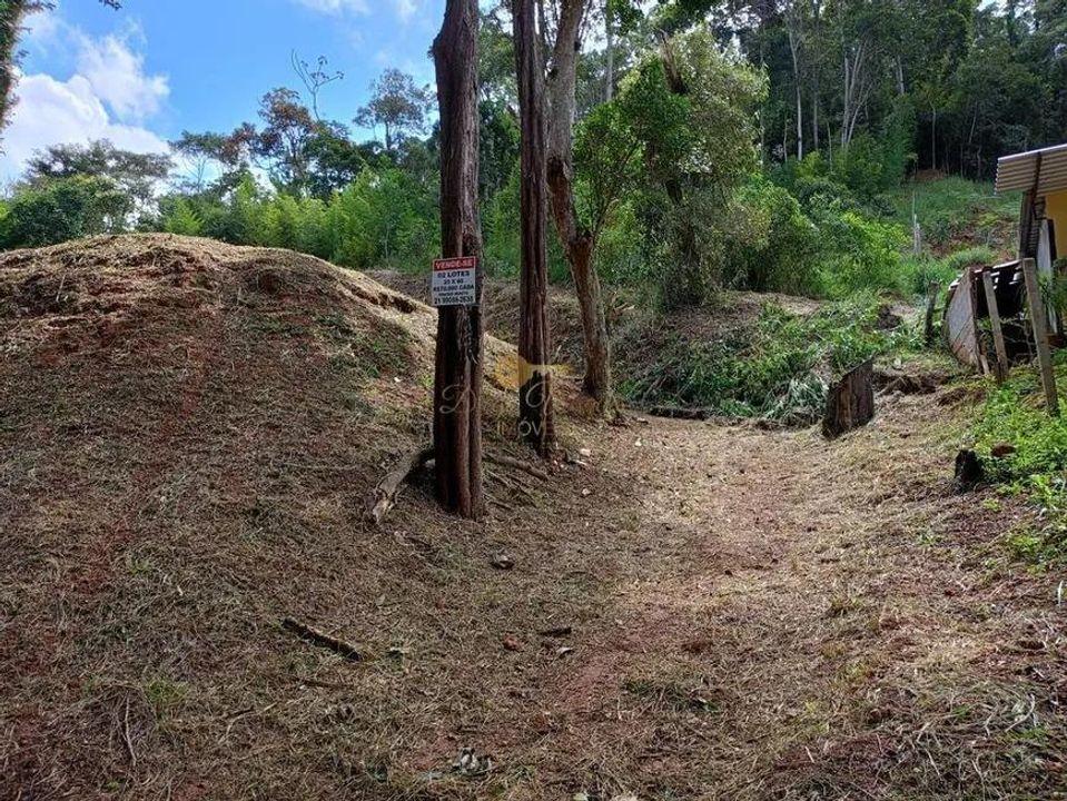 Terreno Residencial à venda em Santa Rita, Teresópolis - RJ - Foto 8