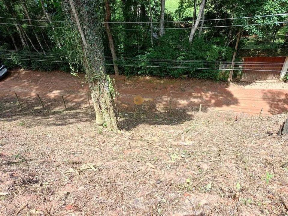 Terreno Residencial à venda em Santa Rita, Teresópolis - RJ - Foto 6