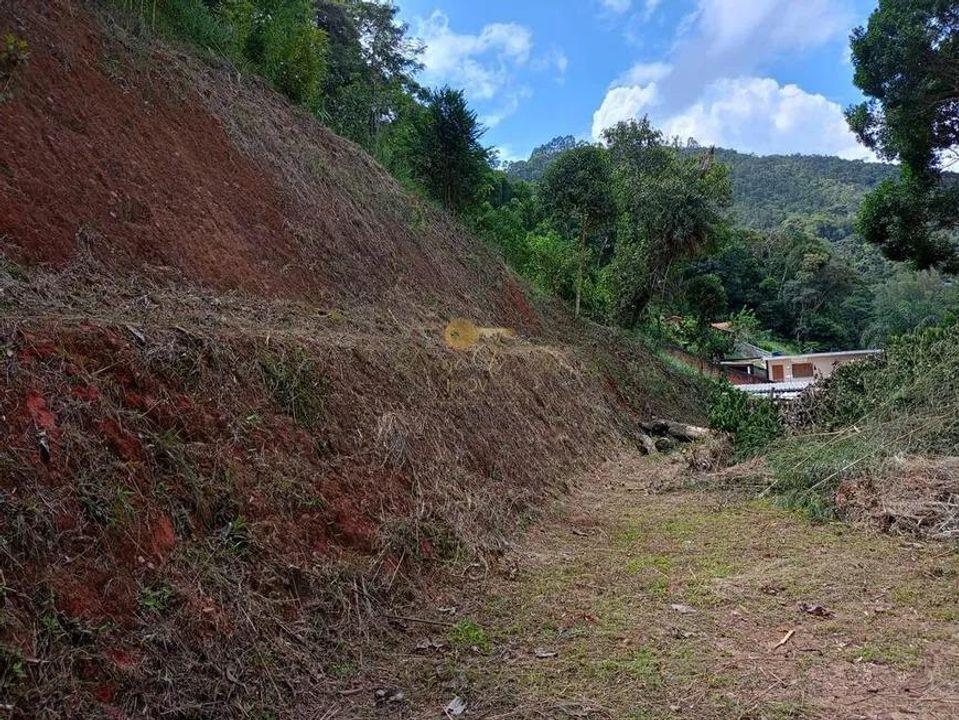 Terreno Residencial à venda em Santa Rita, Teresópolis - RJ - Foto 12