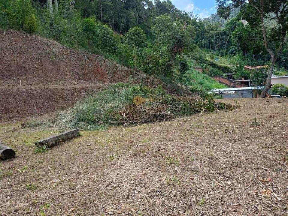 Terreno Residencial à venda em Santa Rita, Teresópolis - RJ - Foto 16