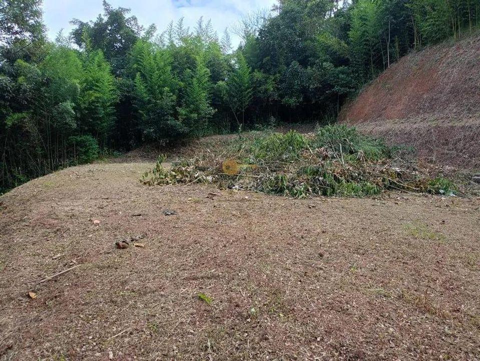 Terreno Residencial à venda em Santa Rita, Teresópolis - RJ - Foto 14
