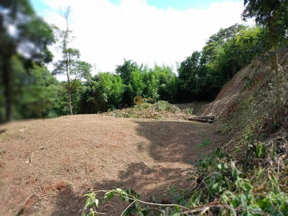 Terreno Residencial à venda em Santa Rita, Teresópolis - RJ - Foto 22