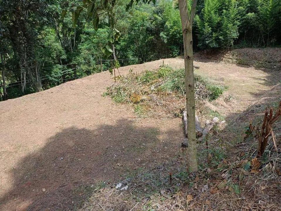 Terreno Residencial à venda em Santa Rita, Teresópolis - RJ - Foto 25
