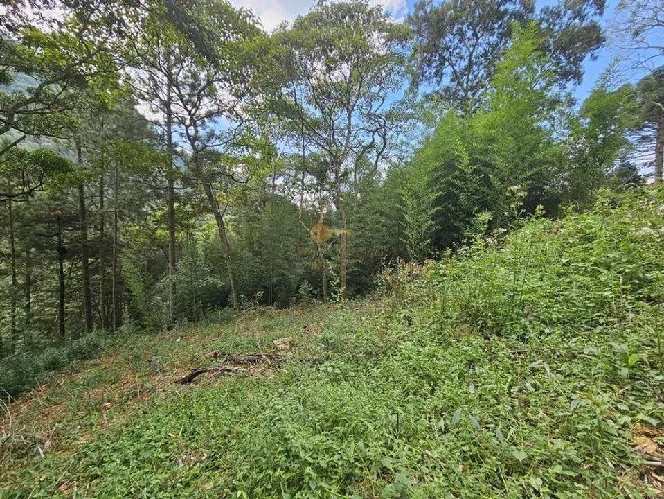 Terreno Residencial à venda em Cascata dos Amores, Teresópolis - RJ - Foto 3