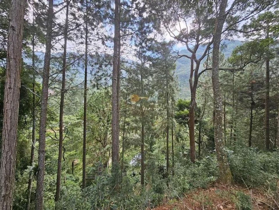 Terreno Residencial à venda em Cascata dos Amores, Teresópolis - RJ - Foto 5