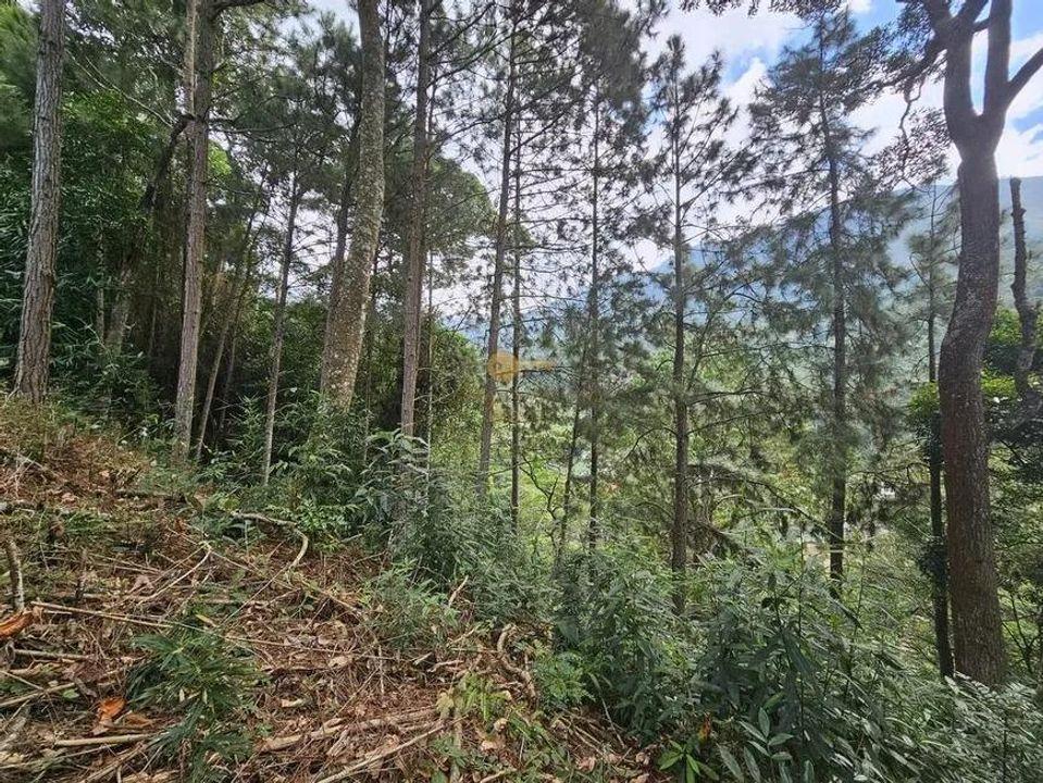 Terreno Residencial à venda em Cascata dos Amores, Teresópolis - RJ - Foto 7
