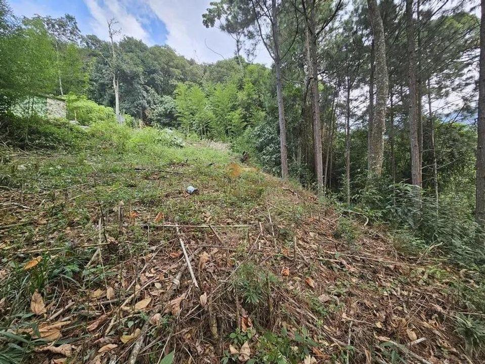 Terreno Residencial à venda em Cascata dos Amores, Teresópolis - RJ - Foto 4