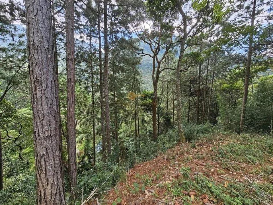 Terreno Residencial à venda em Cascata dos Amores, Teresópolis - RJ - Foto 10