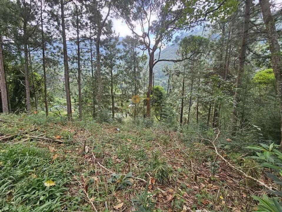 Terreno Residencial à venda em Cascata dos Amores, Teresópolis - RJ - Foto 6