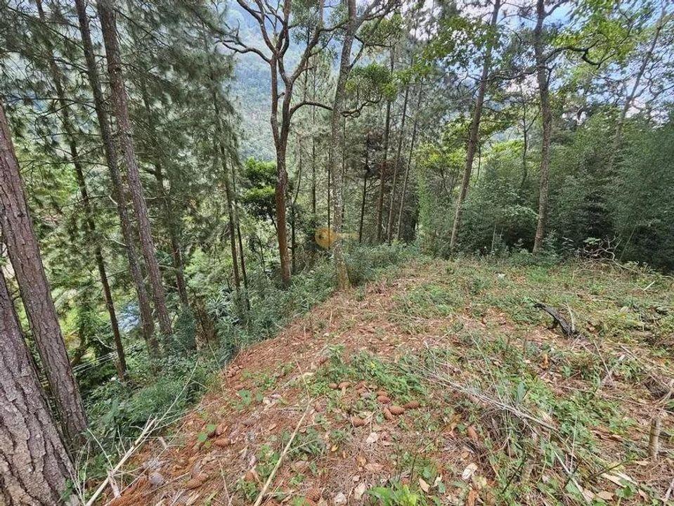Terreno Residencial à venda em Cascata dos Amores, Teresópolis - RJ - Foto 9