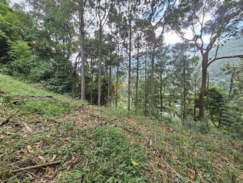 Terreno Residencial à venda em Cascata dos Amores, Teresópolis - RJ - Foto 8