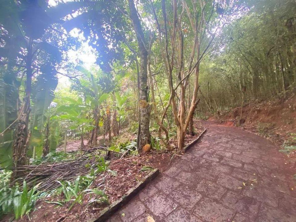 Terreno Residencial à venda em Jardim Salaco, Teresópolis - RJ - Foto 8