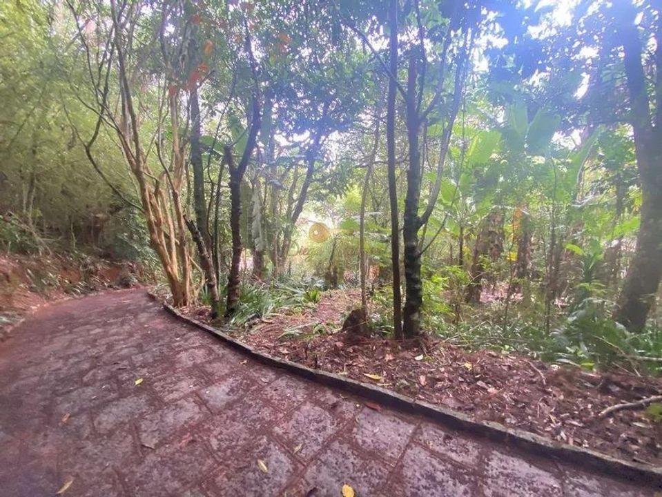 Terreno Residencial à venda em Jardim Salaco, Teresópolis - RJ - Foto 7