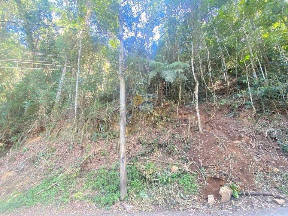 Terreno Residencial à venda em Iucas, Teresópolis - RJ - Foto 11