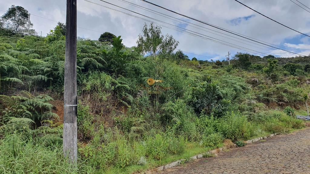 Terreno Residencial à venda em Albuquerque, Teresópolis - RJ - Foto 4