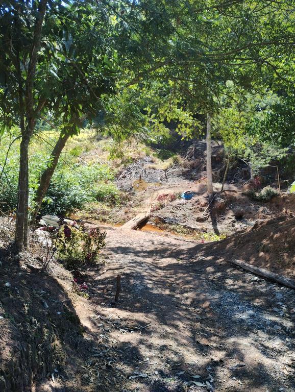 Terreno Residencial à venda em Vale Alpino, Teresópolis - RJ - Foto 17