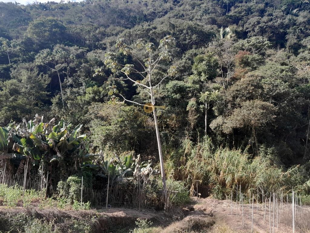 Terreno Residencial à venda em Vale Alpino, Teresópolis - RJ - Foto 21