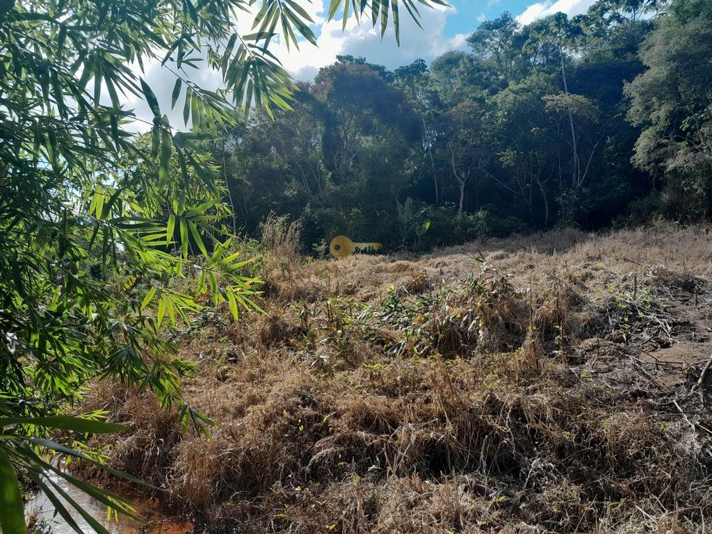 Terreno Residencial à venda em Vale Alpino, Teresópolis - RJ - Foto 20