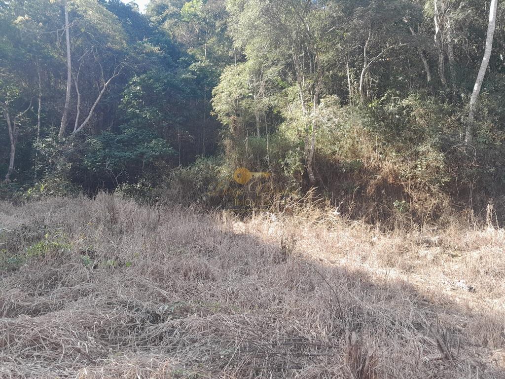 Terreno Residencial à venda em Vale Alpino, Teresópolis - RJ - Foto 19