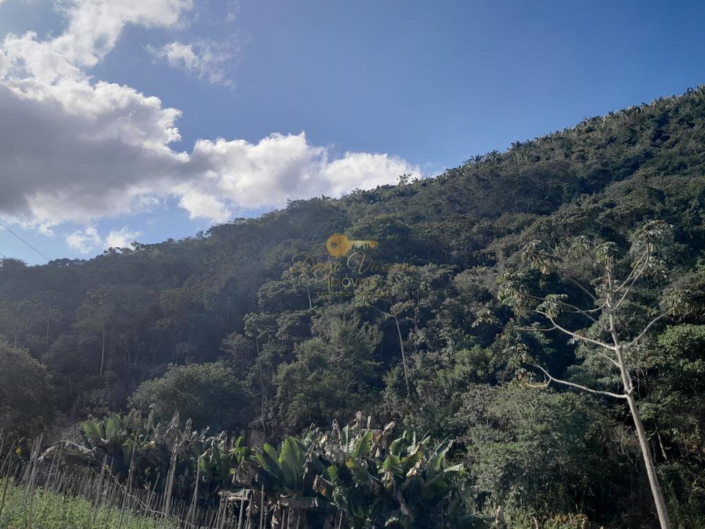 Terreno Residencial à venda em Vale Alpino, Teresópolis - RJ - Foto 23