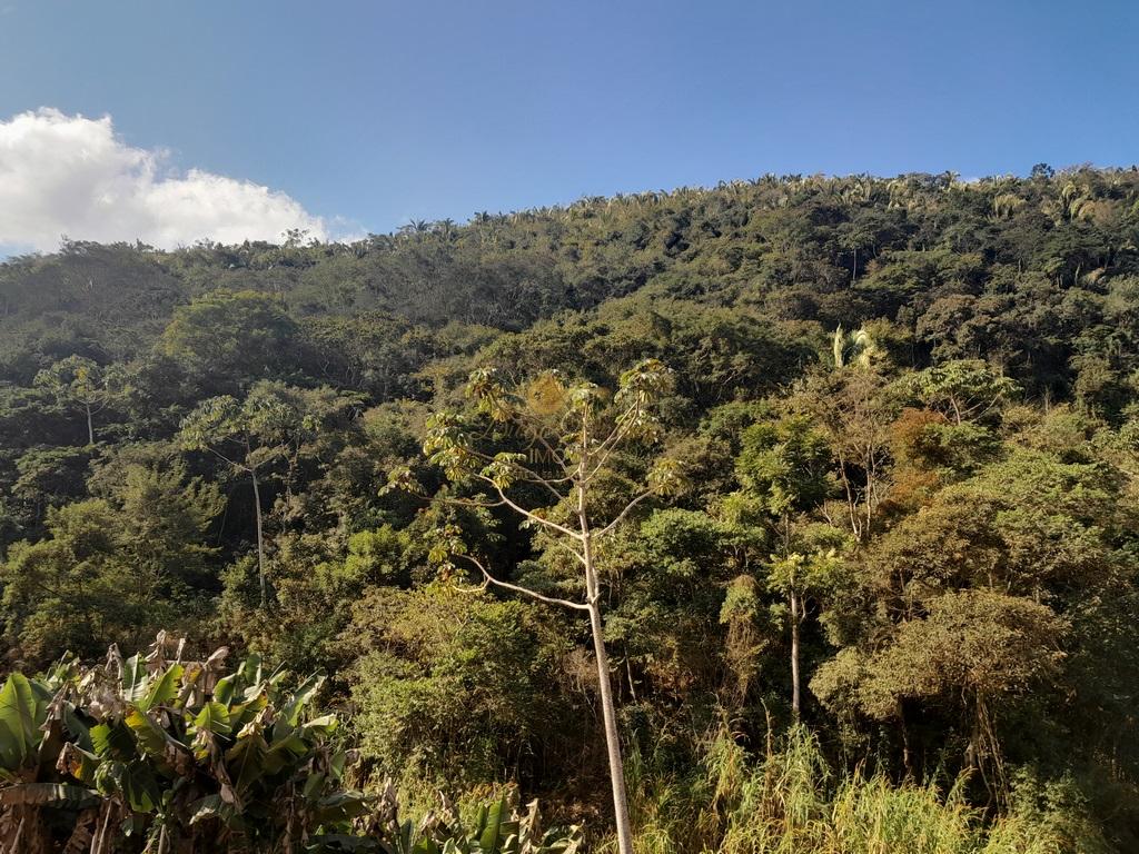 Terreno Residencial à venda em Vale Alpino, Teresópolis - RJ - Foto 22