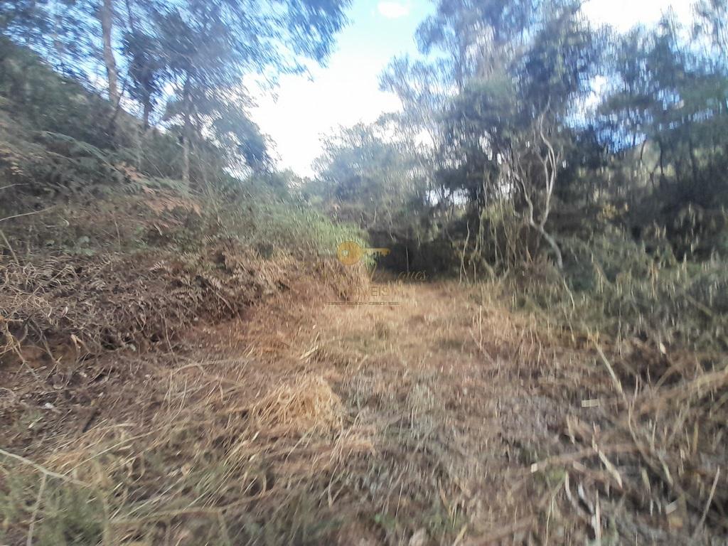 Terreno Residencial à venda em Vale Alpino, Teresópolis - RJ - Foto 24