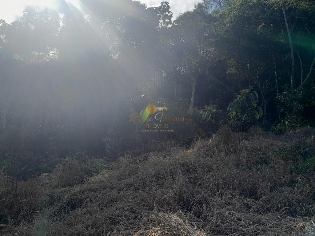 Terreno Residencial à venda em Vale Alpino, Teresópolis - RJ - Foto 27