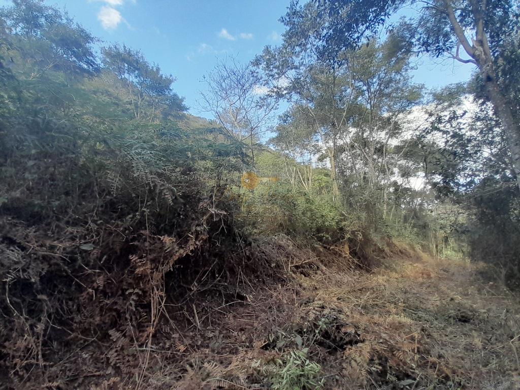 Terreno Residencial à venda em Vale Alpino, Teresópolis - RJ - Foto 25