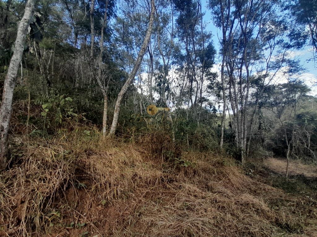 Terreno Residencial à venda em Vale Alpino, Teresópolis - RJ - Foto 26