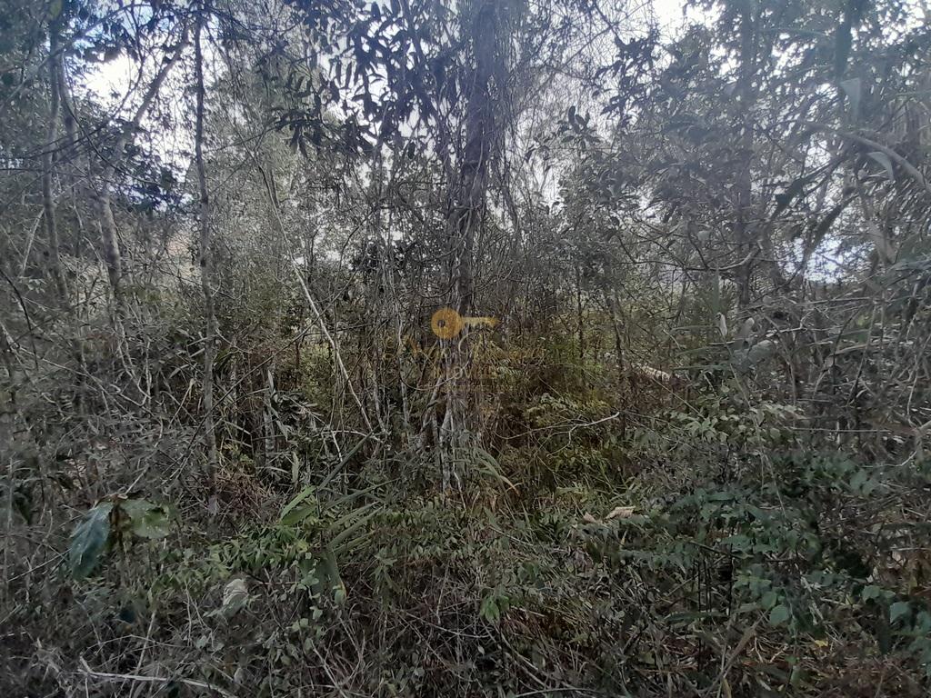 Terreno Residencial à venda em Vale Alpino, Teresópolis - RJ - Foto 30