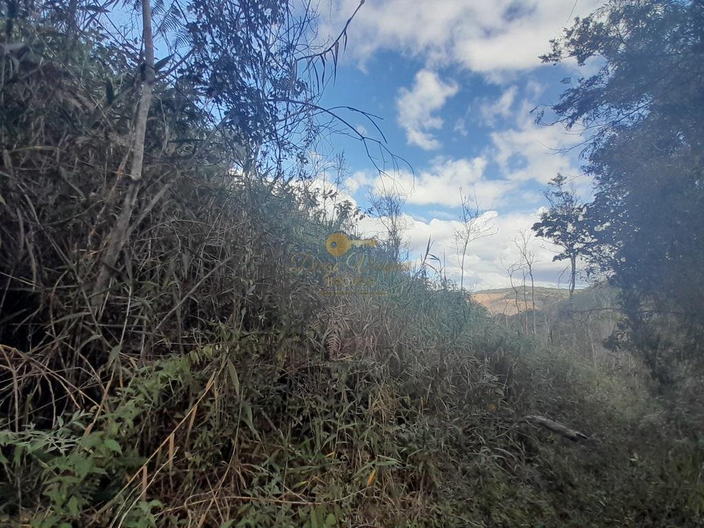 Terreno Residencial à venda em Vale Alpino, Teresópolis - RJ - Foto 29